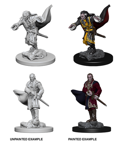 D&D Nolzur's Marvelous Miniatures: Vampires