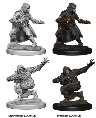 Pathfinder Deep Cuts Unpainted Miniatures: Human Male Rogue