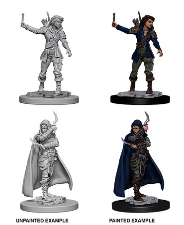 Pathfinder Deep Cuts Unpainted Miniature: Human Female Rogue