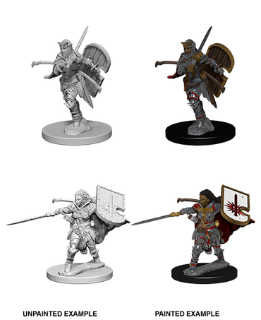 Pathfinder Deep Cuts Unpainted Minis: Human Female Paladin