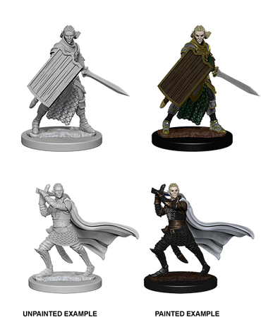 Pathfinder Deep Cuts Unpainted Miniatures: Elf Male Paladin