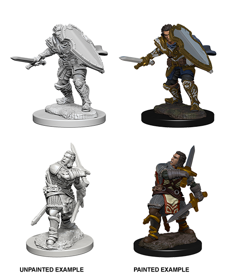 D&D Nolzur's Marvelous Miniatures: Human Paladin