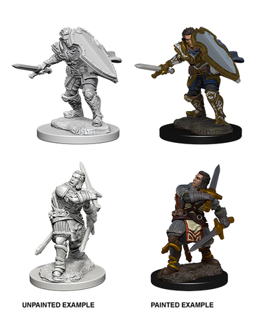 D&D Nolzur's Marvelous Miniatures: Human Paladin