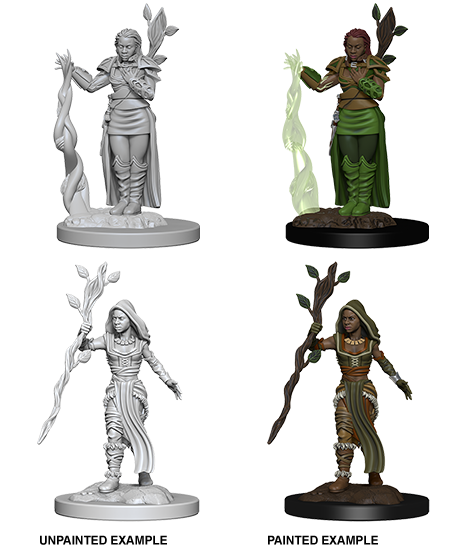 D&D Nolzur's Marvelous Miniatures: Human Druid