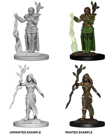 D&D Nolzur's Marvelous Miniatures: Human Druid