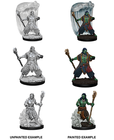 D&D Nolzur's Marvelous Miniatures: Water Genasi Druid