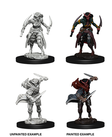 D&D Nolzur's Marvelous Miniatures: Tiefling Rogue