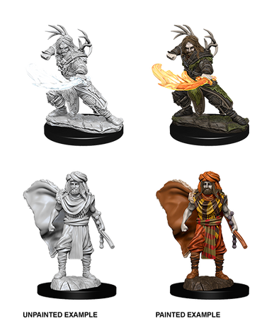 D&D Nolzur's Marvelous Miniatures: Human Druid