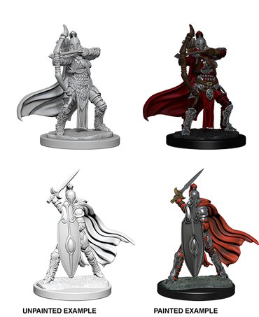 Pathfinder Battles Deep Cuts: Female Knights / Gray Maidens