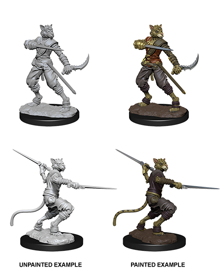 D&D Nolzur's Marvelous Miniatures: Male Tabaxi Rogue