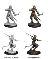 D&D Nolzur's Marvelous Miniatures: Male Tabaxi Rogue