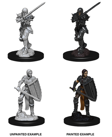 D&D Nolzur's Marvelous Miniatures: Human Fighter