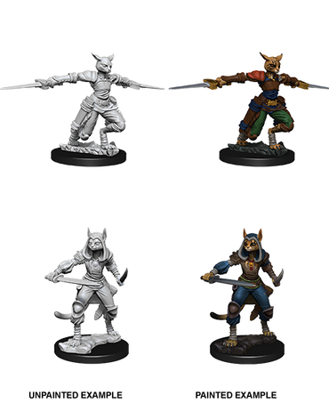 D&D Nolzur's Marvelous Miniatures: Tabaxi Rogue