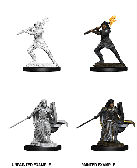 D&D Nolzur's Marvelous Miniatures: Human Paladin