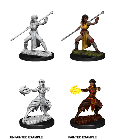 D&D Nolzur's Marvelous Miniatures: Half-Elf Monk