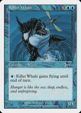 Killer Whale (NM) (EN)