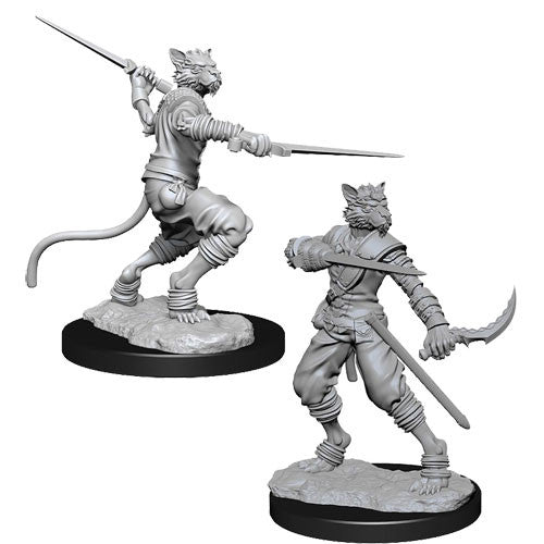 D&D Nolzur's Marvelous Miniatures: Male Tabaxi Rogue