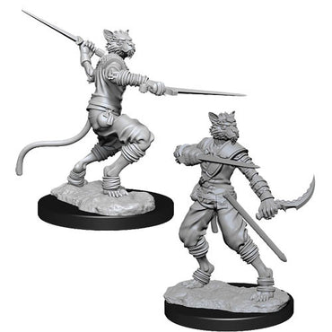 D&D Nolzur's Marvelous Miniatures: Male Tabaxi Rogue
